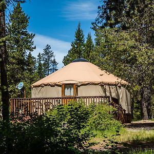 Studio Yurt